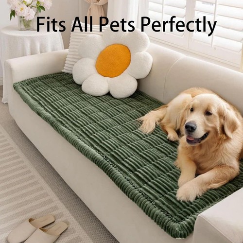 Paw lounge plush pet - lounge,